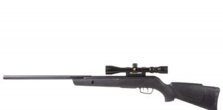 Gamo Big Cat 1250 Review