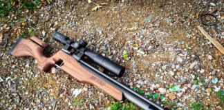 PCP vs Spring Piston: Which one is better?