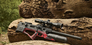 Air gun 101: What is a PCP air rifle? Is PCP gun the best choice for you?
