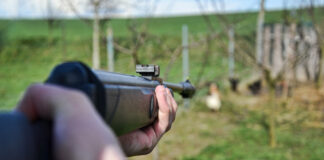 Air Rifle vs BB Gun: Understanding the Key Differences and Choosing the Best Option