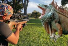 Best Air Rifles for Pest Control – Top 10 effective guns for the money (Reviews and Buying Guide 2025)