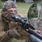 rabbit1