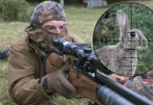 The Bunny Buster: Best Air Rifle For Rabbits 2026 (Reviews and Buying Guide)
