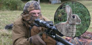 The Bunny Buster: Best Air Rifle For Rabbits 2026 (Reviews and Buying Guide)