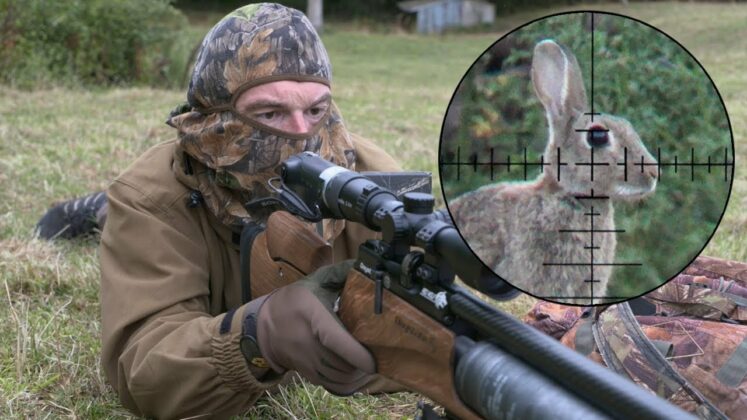 The Bunny Buster: Best Air Rifle For Rabbits 2025 (Reviews and Buying ...