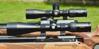 Air Gun 101: How many types of Air Gun Sights are there and which one is suitable for you?