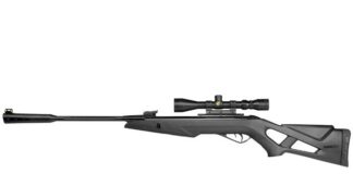 Gamo Silent Stalker Whisper IGT Review