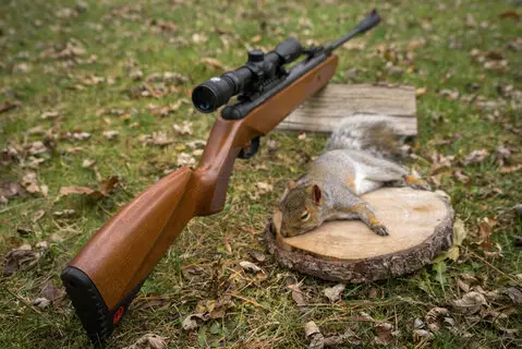 sm1 Master Small Game Hunting with an Air Rifle: Tips and Techniques