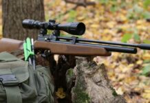 Diana Stormrider Gen 2 Review –The First Action Line from Diana