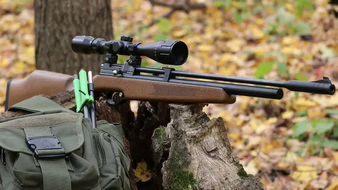 stormrider1 The Bunny Buster: Best Air Rifle For Rabbits (Reviews and Buying Guide 2024)