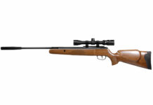 Crosman Nitro Venom .22 Review
