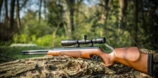 Air Arms TX200 MKIII Review