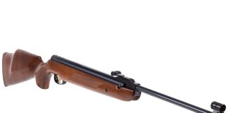Beeman R9 Review