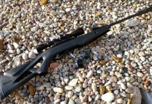 Gamo Silent Stalker Whisper IGT Review
